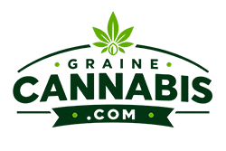 Graine Cannabis