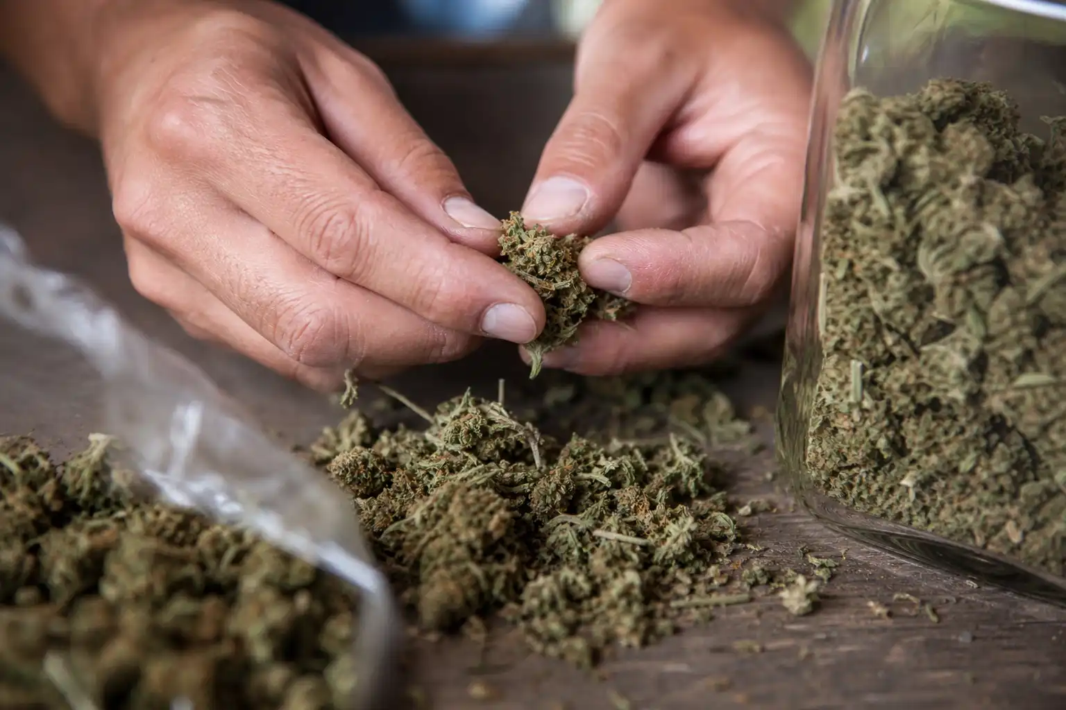 Des mains manipulent un objet, autour de mixed sativa mélange, près d'une table en bois.